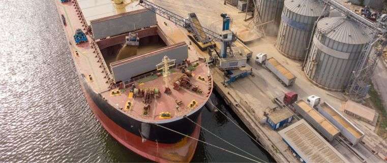 Resolución (SAGYP) 184/2025