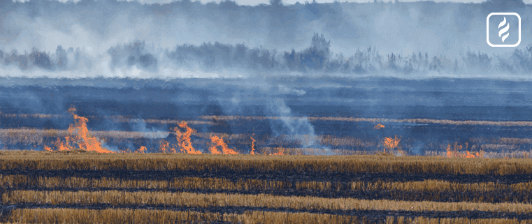 Los incendios del Delta motivaron la propuesta